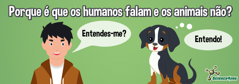 Os animais